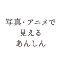 写真・アニメで見えるあんしん