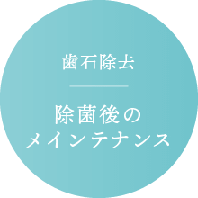 歯石除去：除菌後のメインテナンス